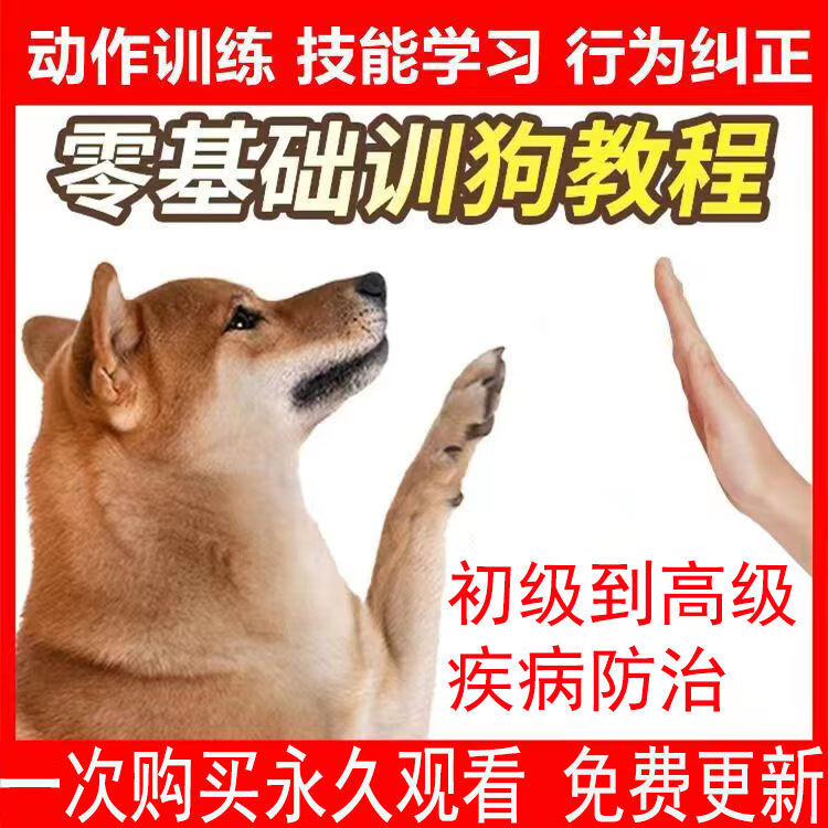 2023新训狗训犬教程专业训练新手入门神器泰迪金毛哈士奇德牧扫地 74g