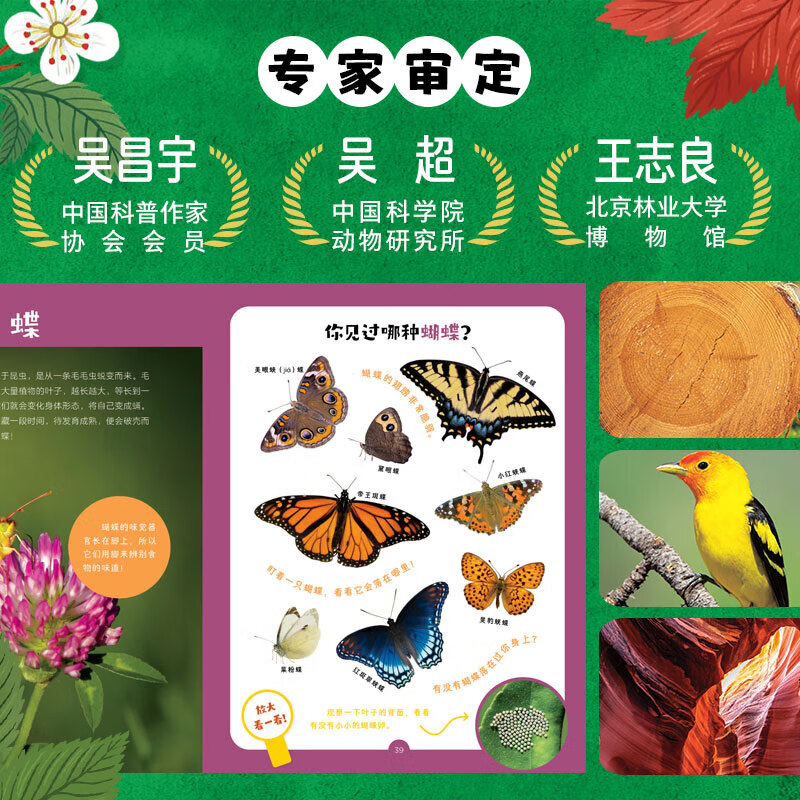 【点读版】自然探索小书包全6册儿童3-6岁自然科普课绘本丛林探险自然发现笔记锻炼宝宝观察力创造力思考力表达力的一堂亲身体验课