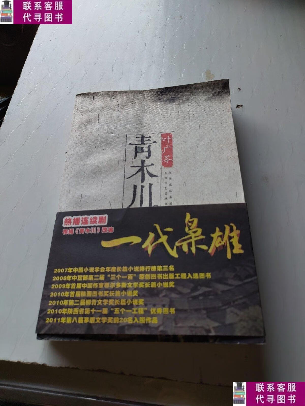【二手9成新】青木川 /叶广芩 太白文艺出版社