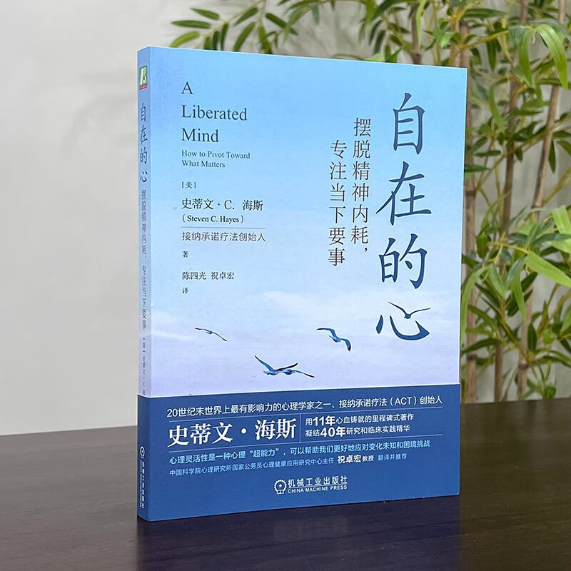 自在的心：摆脱精神内耗，专注当下要事详情图