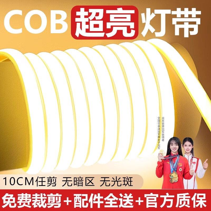 拉伯塔led灯带220v超亮户外防水自粘线形灯家用客厅吊顶氛围COB软灯条 自带背胶【白光】COB无光斑 【10米】