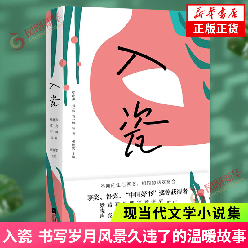 入瓷 梁晓声葛亮石一枫鲁敏邵丽等9位 茅奖鲁奖中国好书获奖作家著 书写岁月风景久违了的温暖故事 现当代文学小说集 新华书店正版 正版正货 新华书店