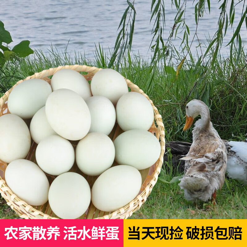 图石果记农家散养新鲜鸭蛋6/40枚新鲜绿皮生扁嘴蛋绿壳土鸭蛋 6枚
