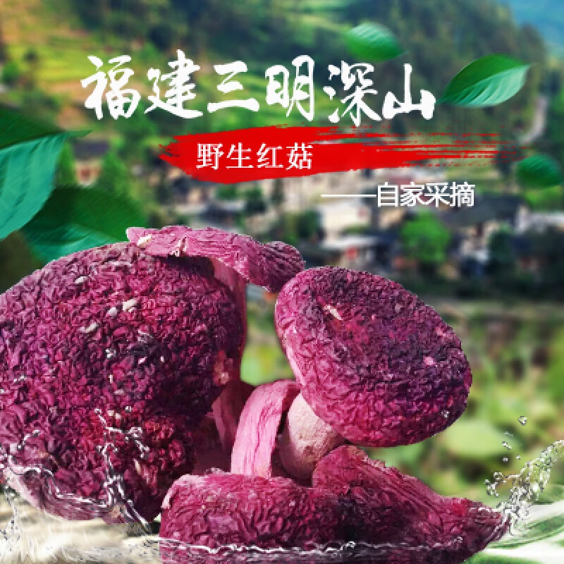 君闵精选福建三明特产红菇红蘑菇礼礼盒