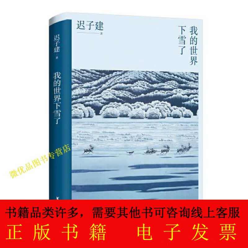 我的世界下雪了（迟子建散文系列）