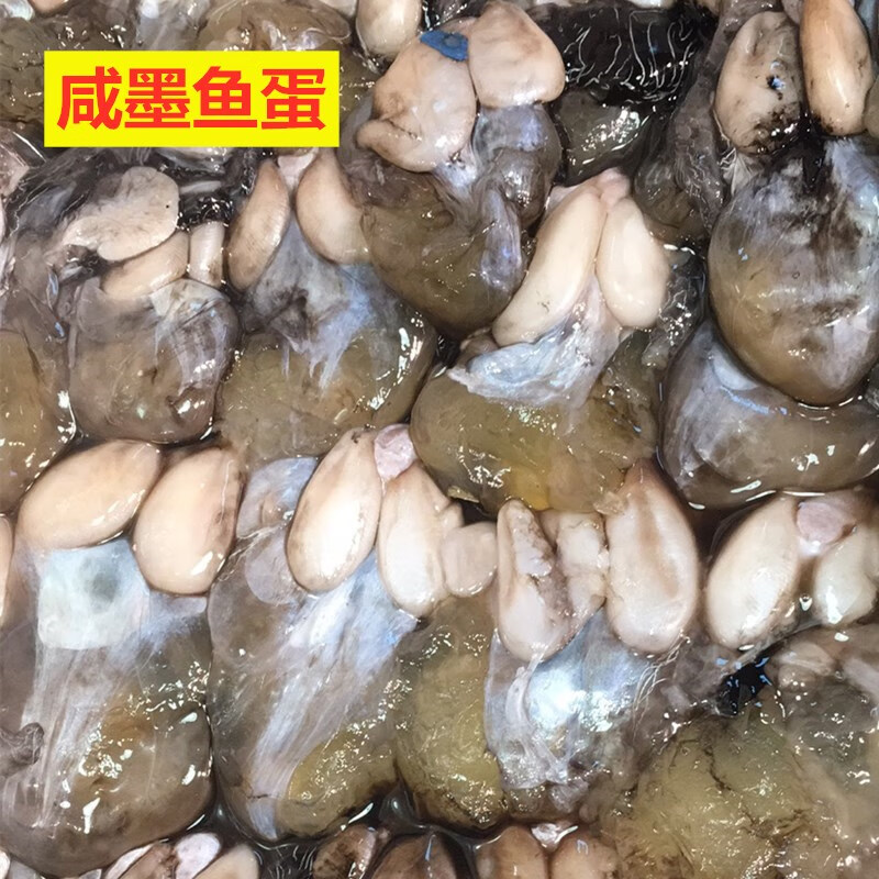 橙伯乐温州洞头特产 咸味墨鱼蛋乌贼蛋 500g一份下饭