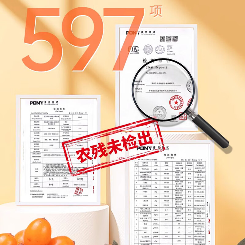 2025年沙棘原浆品牌排名前十名,这10款高纯度提取,滋补养生效果显著-图片1