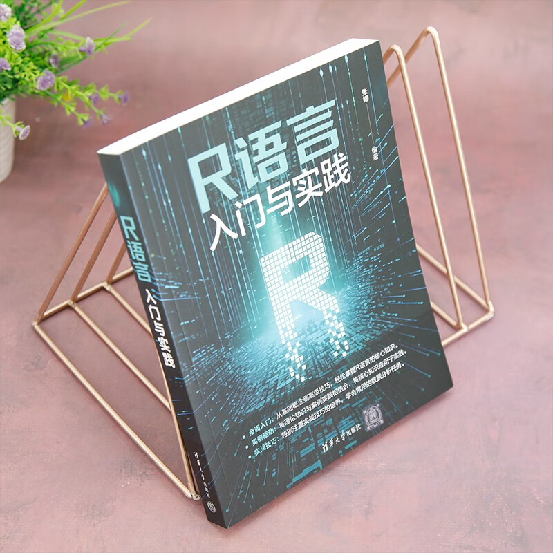 R语言入门与实践详情图