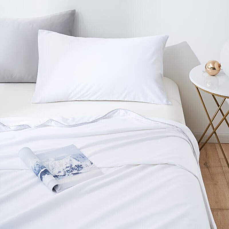 太湖雪蚕丝被 100%桑蚕长丝 纯棉夏凉被 蚕丝净重1斤 220*240cm 白色