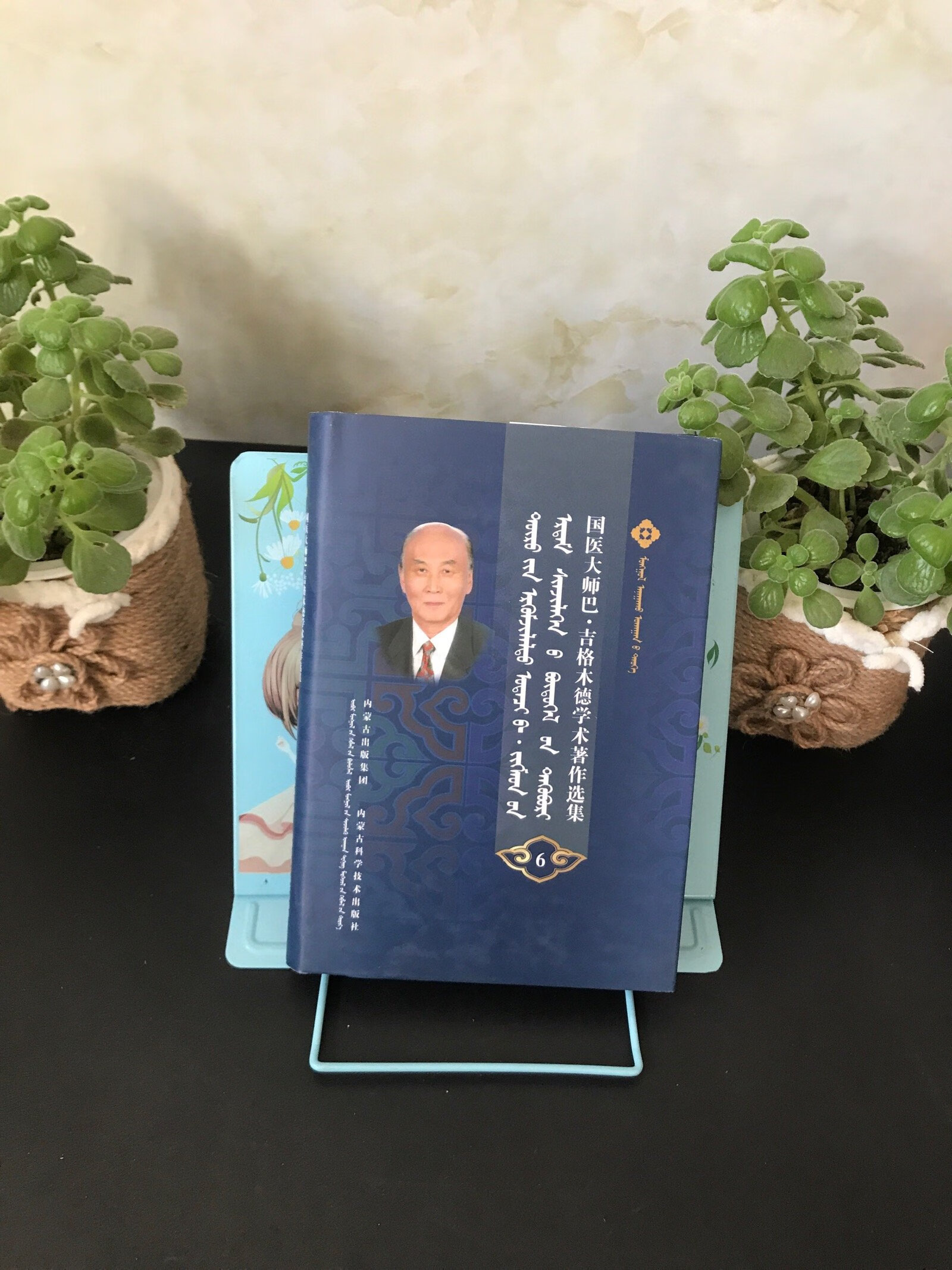 吉格木德学术著作选集;第六卷 蒙医学史