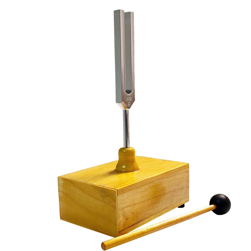 舜江 音叉 铝合金材质音叉 优选松木材质共鸣箱 敲锤 初中物理声学