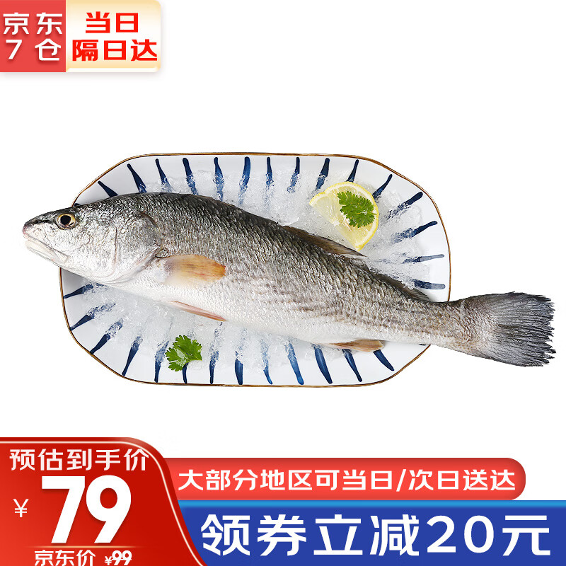 哆鲜生 三去红古鱼 美国红鱼红姑红鼓红烧酸菜鱼似海鲈 鲜活冷冻海