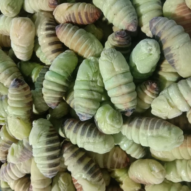 宜享健康东北特产神仙蛹嫩蚕蛹绿色蚕蛹薄皮柞树蚕蛹速冻神仙 半斤装