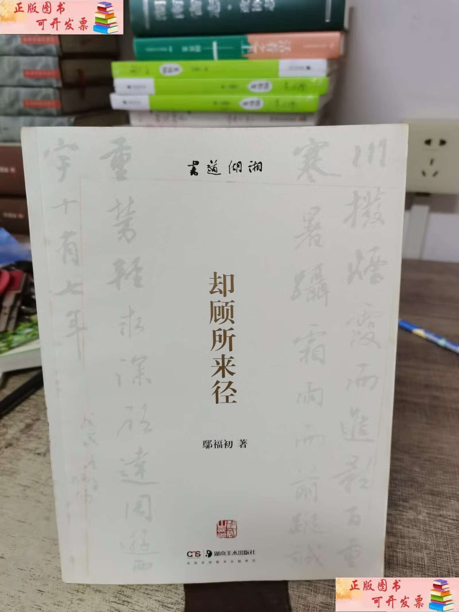 【二手9成新】书道湖湘——却顾所来径 /福初 湖南美术