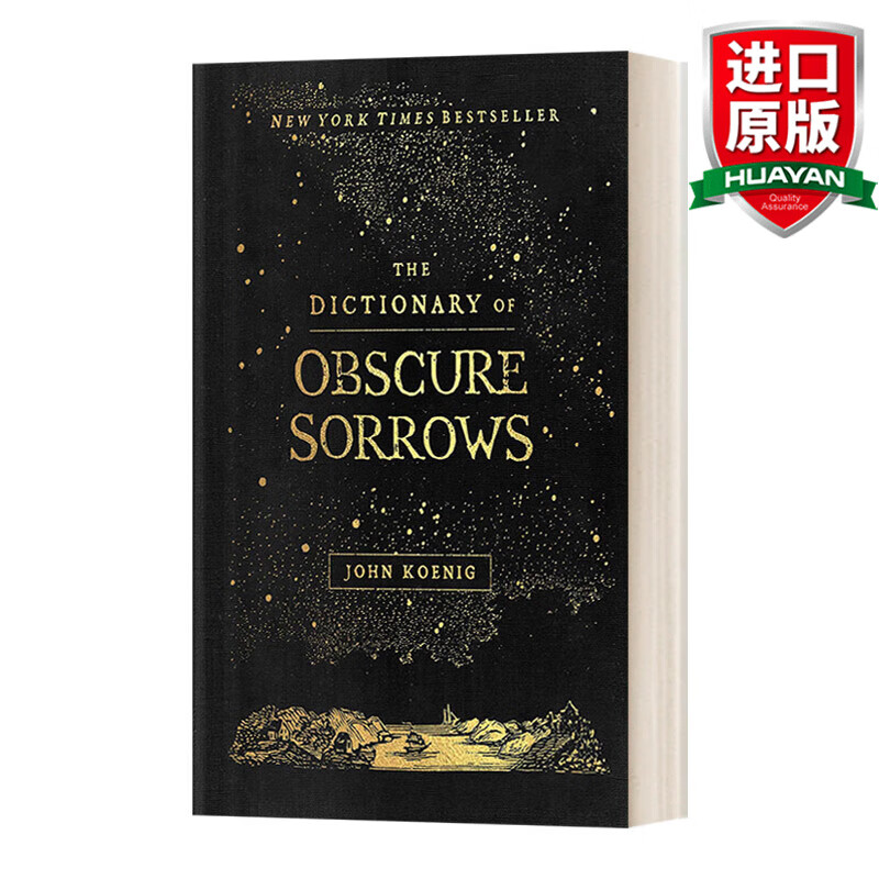 The Dictionary of Obscure Sorrows 英文原版 无名悲伤辞典 精装 英文版 进口英语原版书籍