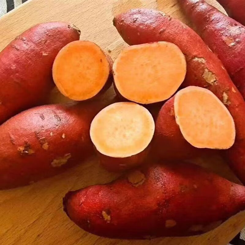 新疆天山香薯 蜜薯红薯地瓜山芋 新鲜蔬菜  精选 5斤礼盒装