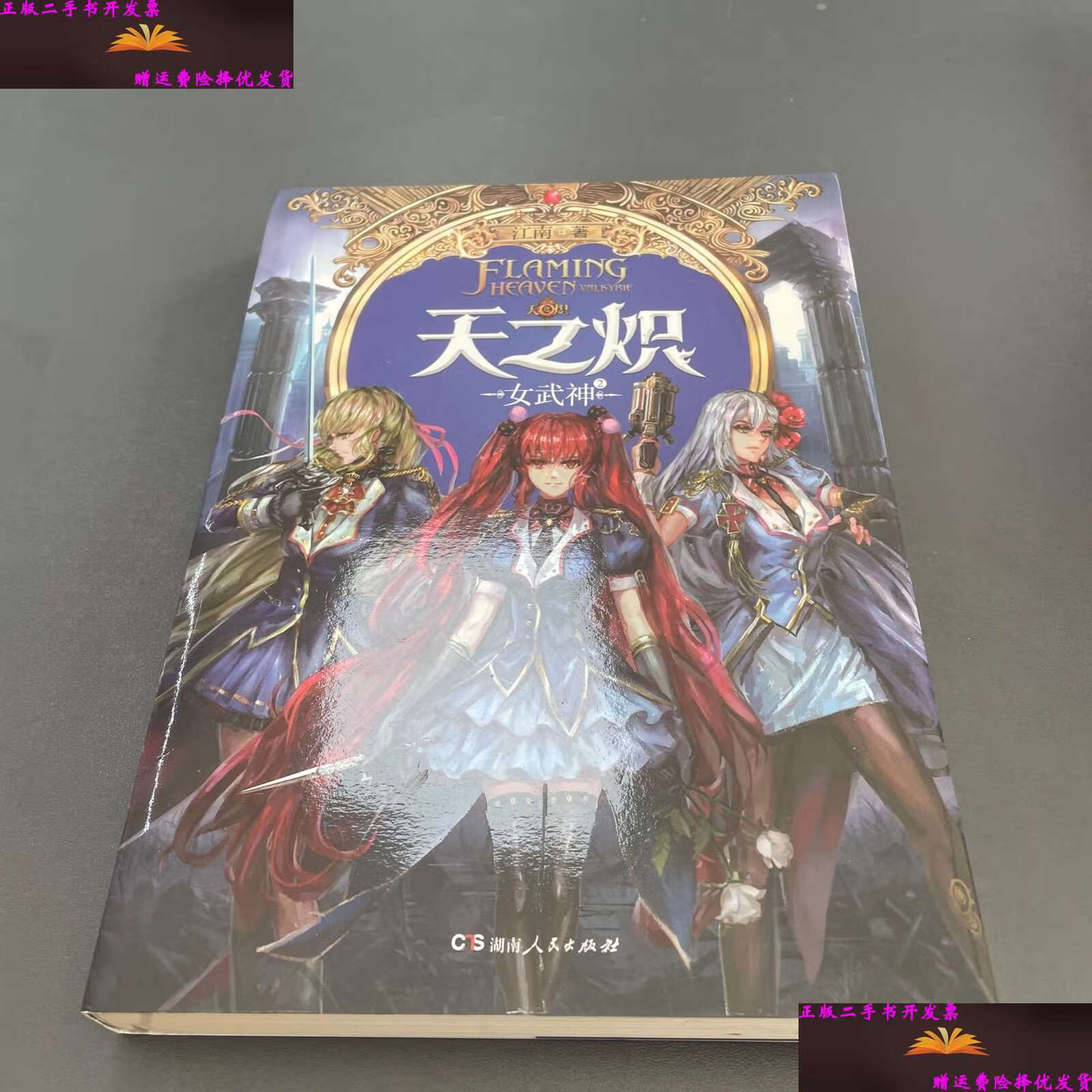 【二手9成新】天之炽:女武神2 /江南 湖南人民