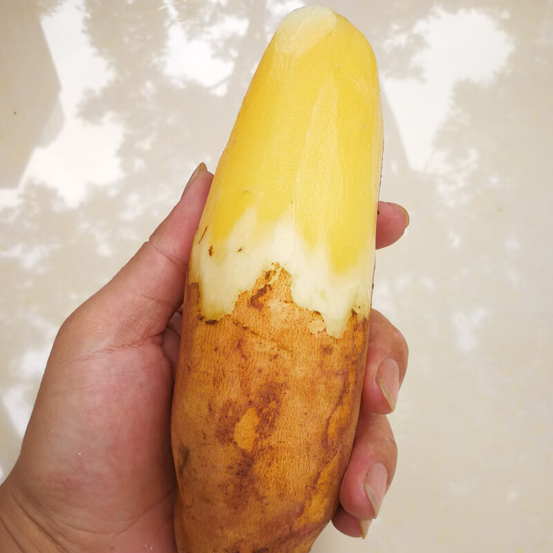 果迎鲜雪莲果 5斤装 新鲜水果 云南天山雪莲果