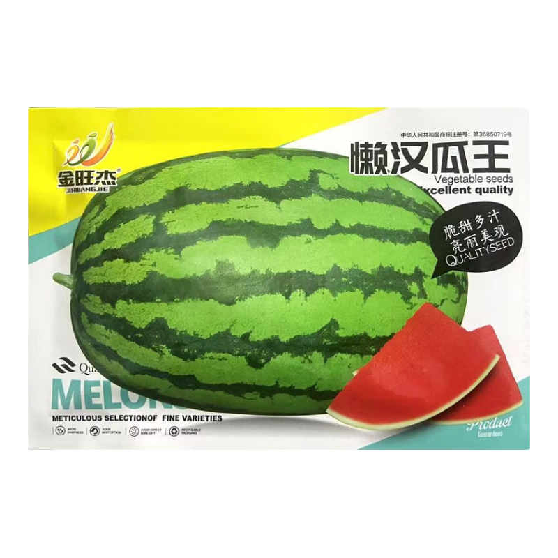 ����ȯ��plus��Ա�� ��������