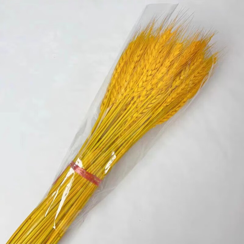 麦穗麦子天然大麦穂干花花束开业花篮金色小麦仿真花摆件开业, 一扎