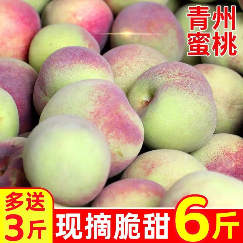 ����˹��˳���ݡ�����ɽ������������Ƥ���Ӷ�ѩ�������Ӵ���Ӧ��ˮ�� �ؼ�������6��װ����3����3� 111.99Ԫ��3��(��37.33Ԫ/��)