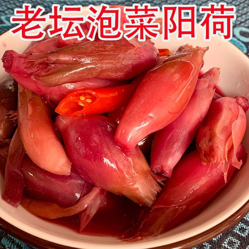 xywlkj酸辣阳荷姜腌制老坛洋火新鲜老坛下饭菜茗荷阳蒮洋荷姜自制酸洋