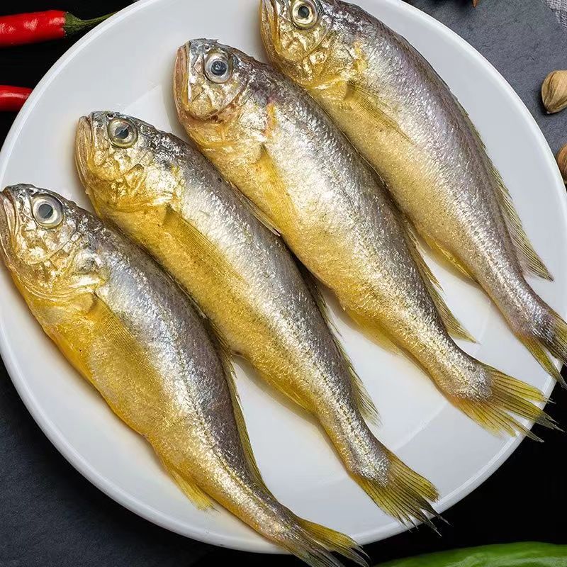 新货小黄花鱼新鲜黄花鱼生鲜海捕黄鱼一斤10条水产活鱼速冻商 一斤8