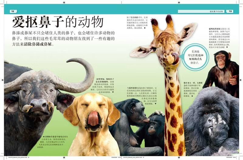 DK这不可能是真的 黏糊糊+臭烘烘（套装共2册）开学必备 课外读物详情图