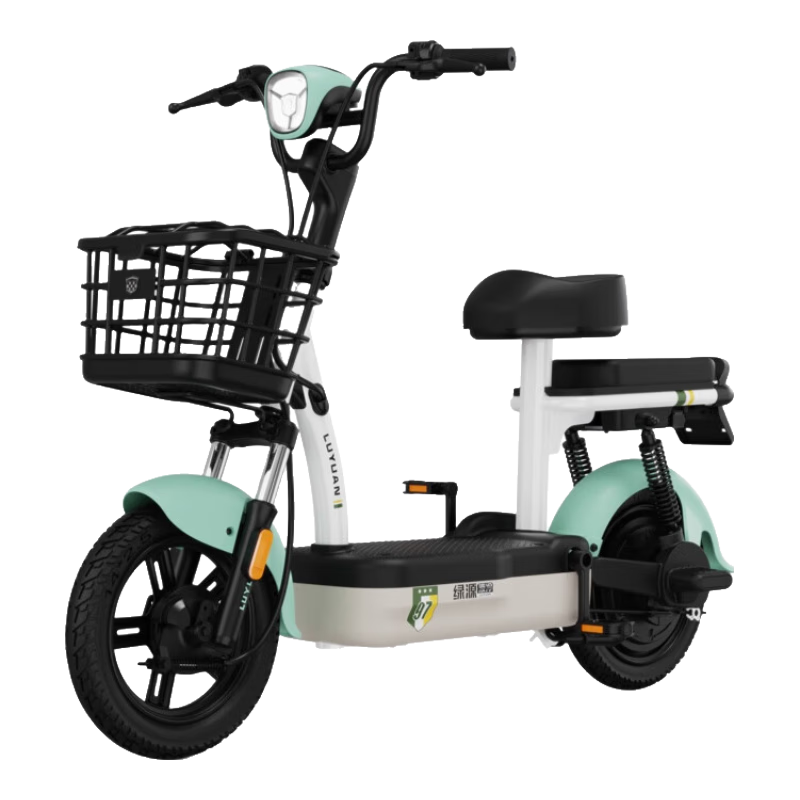 ��Դ ���˵綯���г� FBY����09 48V12AhǦ��