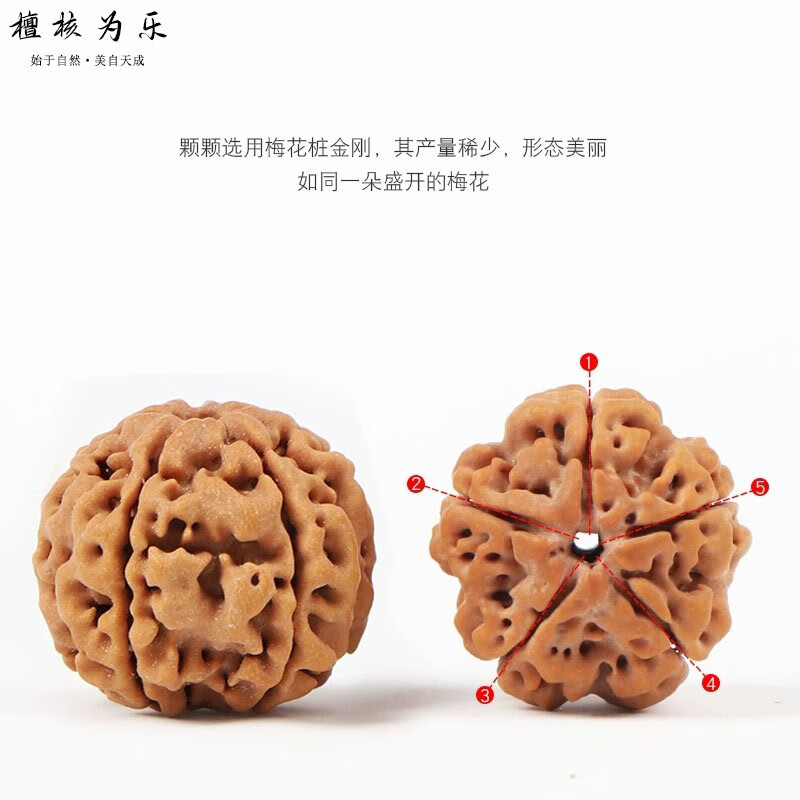 檀核为乐金刚菩提手串 原生态五瓣大金刚 尼泊尔大金刚原籽双龙纹文玩手串 五瓣满肉大金刚20-21mm