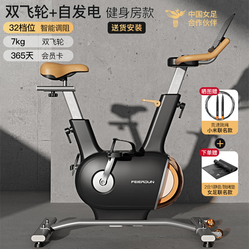 飞尔顿fed动感单车智能家用器材运动磁控静音小型室内自行车健身车 【自发电】双飞轮黑色-智能调阻