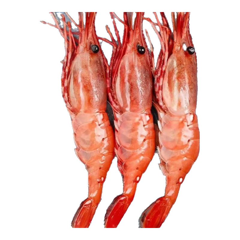 半藍(lán)島牡丹蝦加拿大進(jìn)口冷凍刺身級(jí) 即食海蝦 海鮮水產(chǎn) 牡丹蝦 牡丹蝦1kg(20-24只）