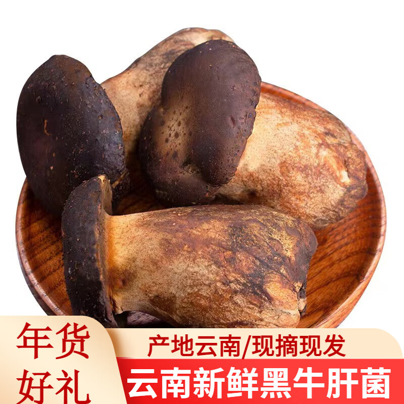 滇味十足(dianweishizu)云南高原新鲜黑牛肝菌新鲜菌菇蔬菜货顺丰空运