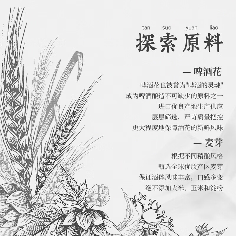 一匹蚂蚁精酿啤酒美式黄啤黑啤小麦白啤650ml*6罐(冠军杯易拉罐) 精酿IPA02(冠军杯易拉罐) 650mL 3罐