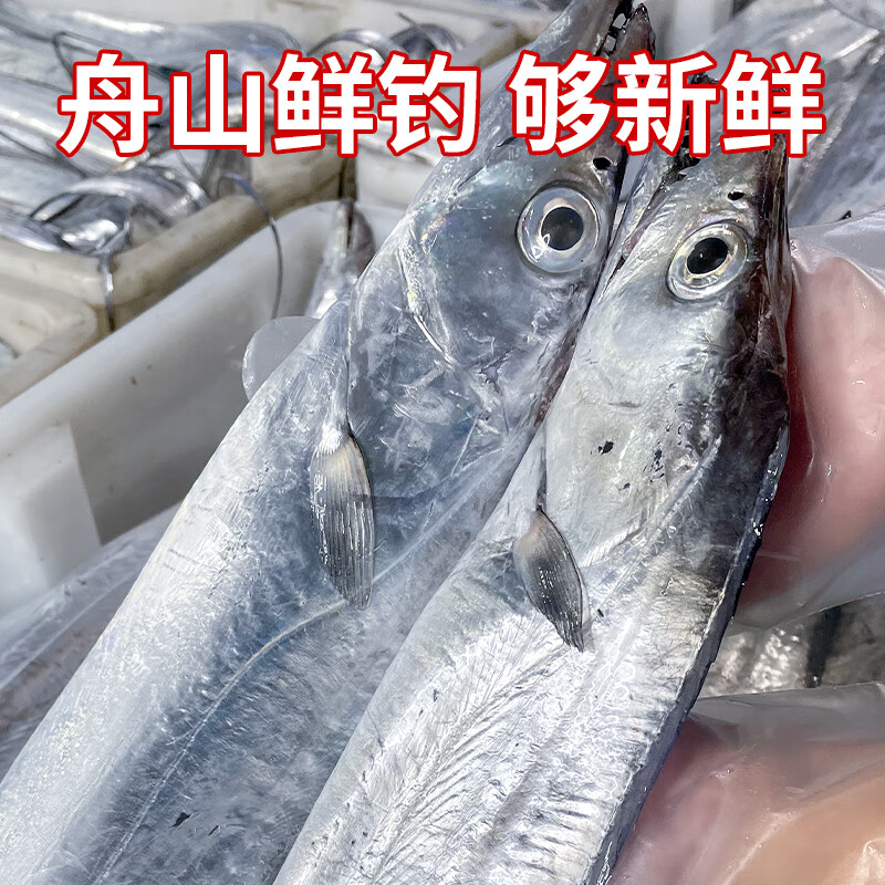 鲜喜利舟山带鱼整条新鲜鲜活冷冻小眼海钓油带鱼生鲜海鲜礼盒特大刀鱼 6-8两/条【净重3斤 舟山直发 】