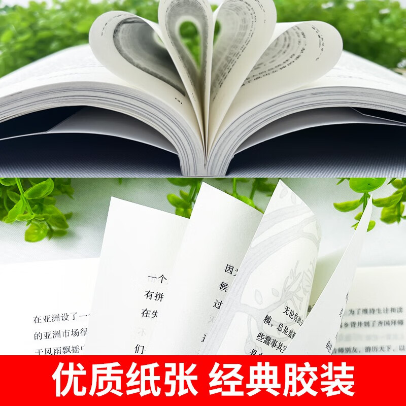 允许一切发生正版 过不紧绷松弛的人生 给当下年轻人的治愈成长哲思书详情图