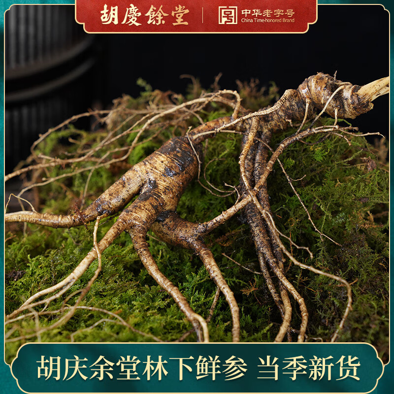 胡慶余堂鮮山參禮盒林下參人參生鮮新鮮人參中秋送禮新鮮帶泥苔蘚 林下鮮山參15年以上單只裝帶泥帶苔蘚 40g