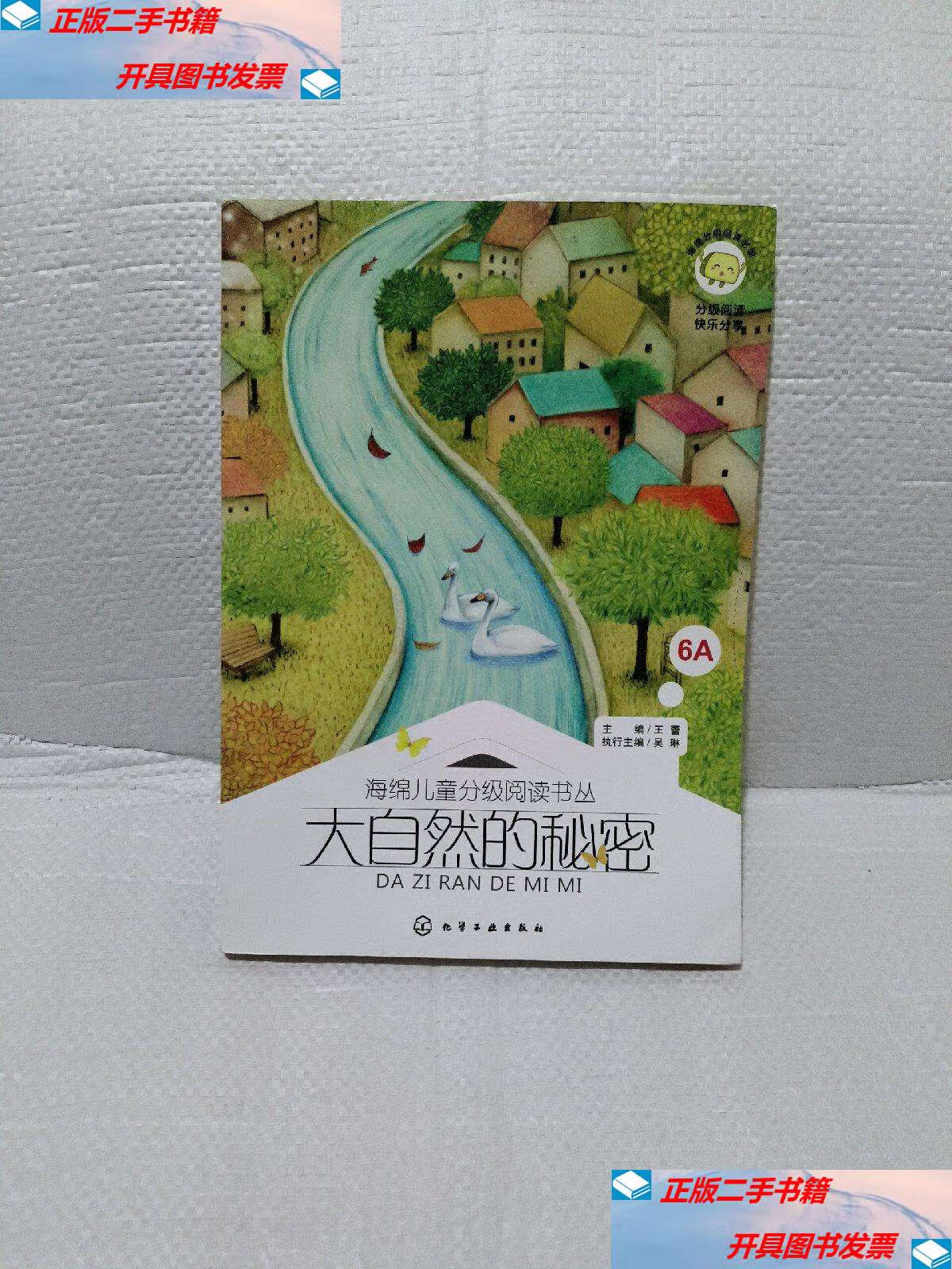 【二手9成新】大自然的秘密 /王蕾 化学工业