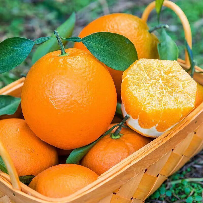 源惠鲜礼正宗江西赣南脐橙当季精选新鲜橙子赣州现摘多汁水果孕妇整箱包邮 赣南脐橙净重5斤小果【60-65mm】