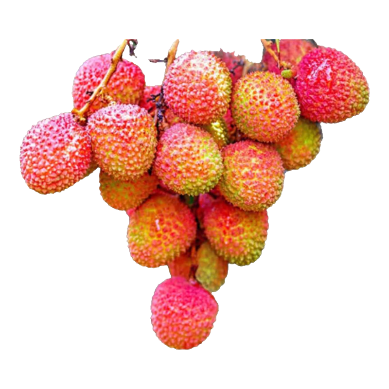 ��ս�䶳��֦������������Ц��֦�����䶳ˮ����д������� �䶳����Ц��֦1500g 78Ԫ