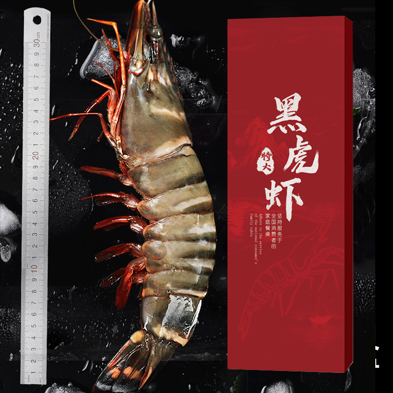 东上御品 巨型黑虎虾 净重480g/2只 斑节虾海鲜虾类印度-源头直发
