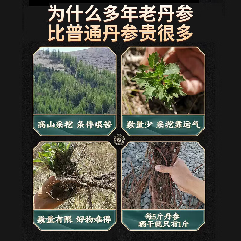 内廷上用秦岭野生特级紫丹参片丹参粉天然无添加泡水泡茶喝中药材官方旗舰 秦岭野生紫丹参片[高含酮量] 1瓶*1瓶 精选野生丹参片500克罐装【店家推荐】