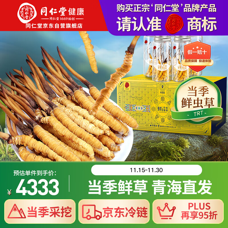 同仁堂（TRT）品牌 新鲜虫草0.81-1.0克/条50条装 鲜虫草青海源头直发包邮