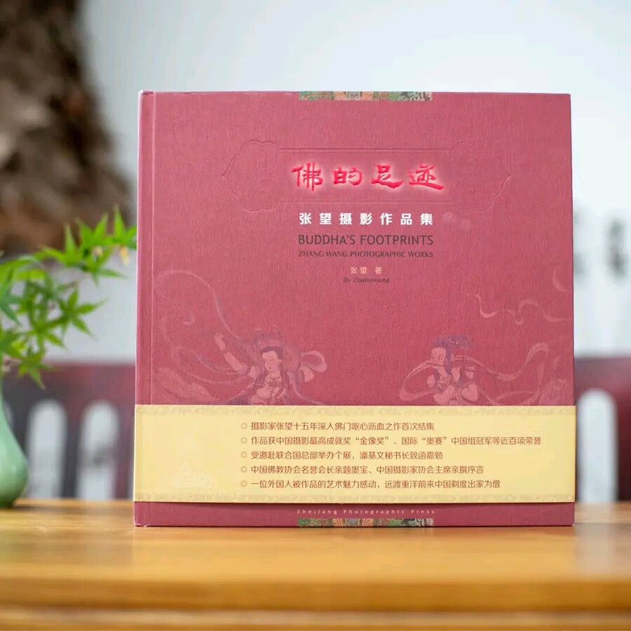 现货正版】佛的足迹张望摄影作品集纪实摄影照片解析摄影书籍摄影画册