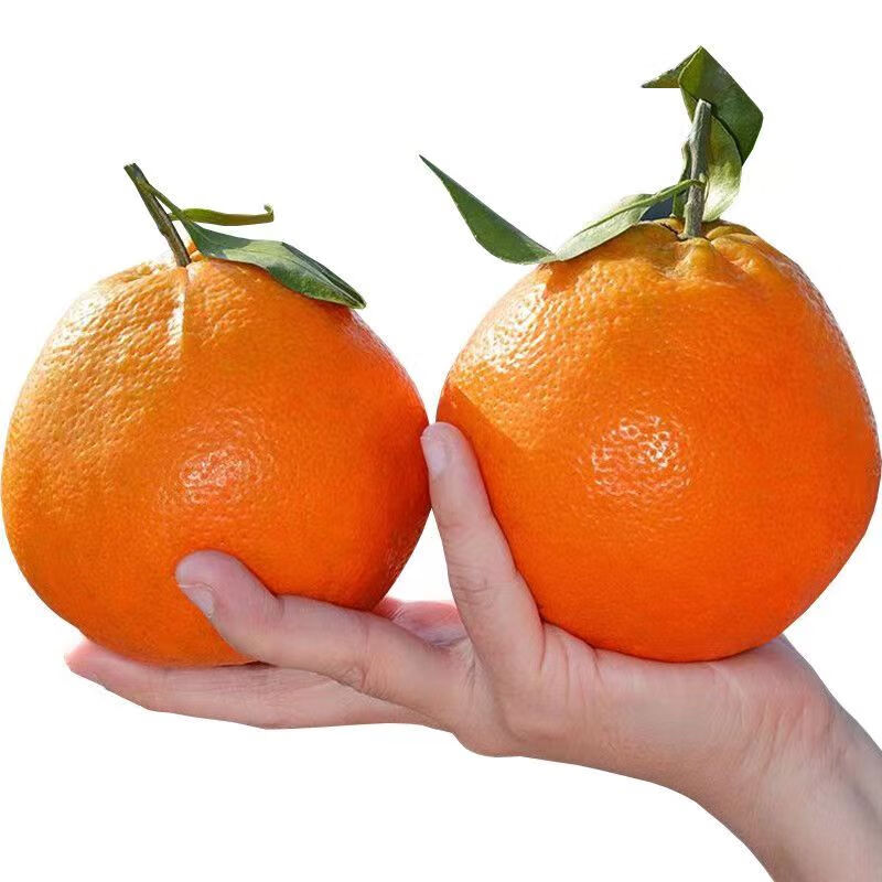 MPPMCK�ֽ������ҰҸ̵�������ˮ�� ��װ����� �µ���2�ݸ��Ϸ�һ��  �����ҰҸ� 4.5�� װ����4�����80mm++ 18.95Ԫ