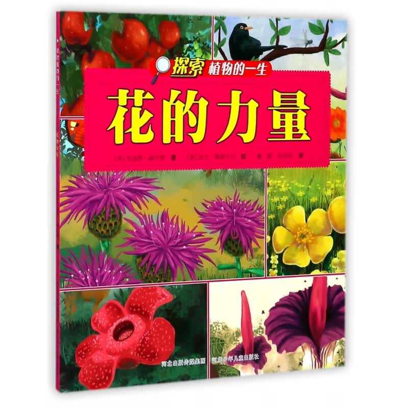 花的力量/探索植物的一生