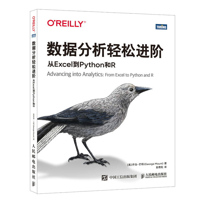 数据分析轻松进阶：从Excel到Python和R（图灵出品）
