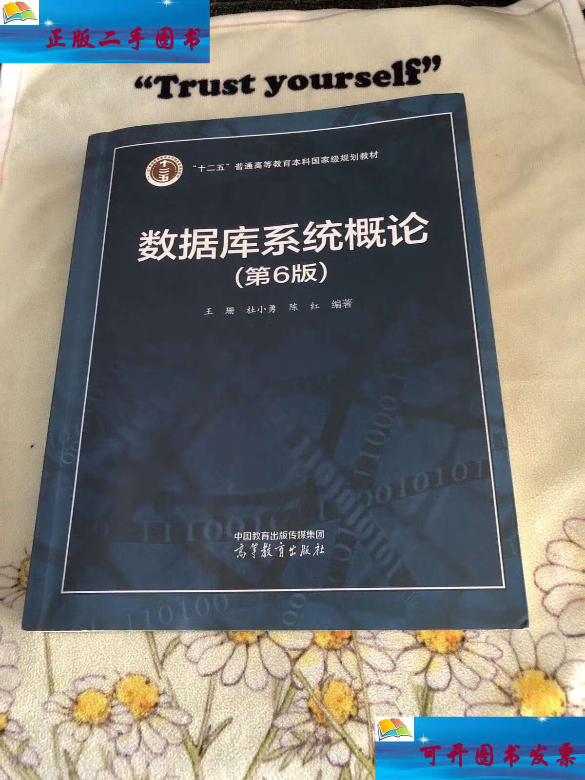 【二手9成新】数据库系统概论(第6版) /王珊 杜小勇 陈红 高等教育
