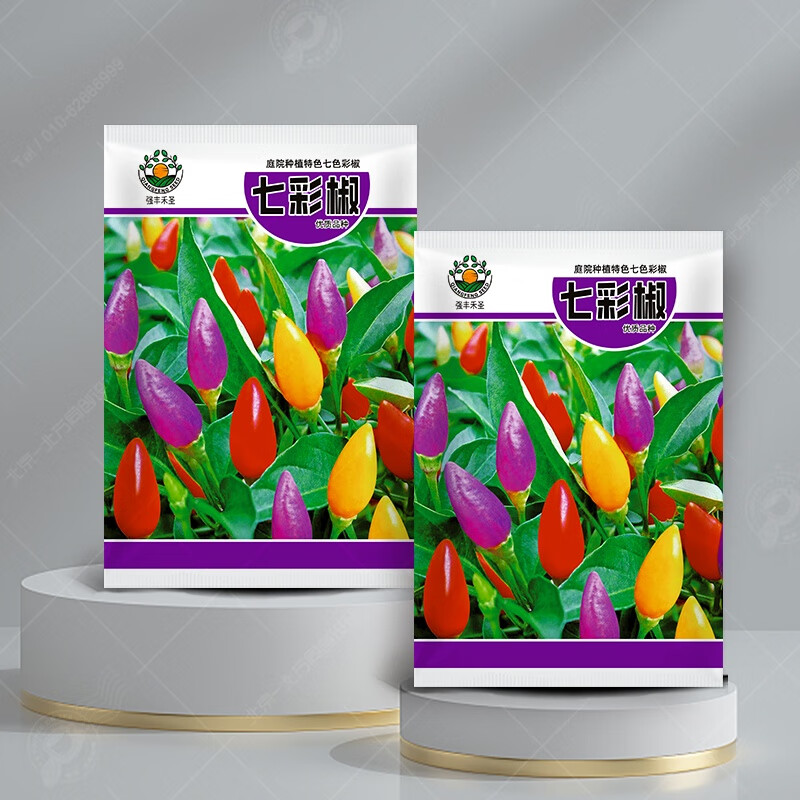 强丰禾圣七彩椒辣椒种子辣泡椒小米椒种籽观赏阳台盆栽春秋四季蔬菜种