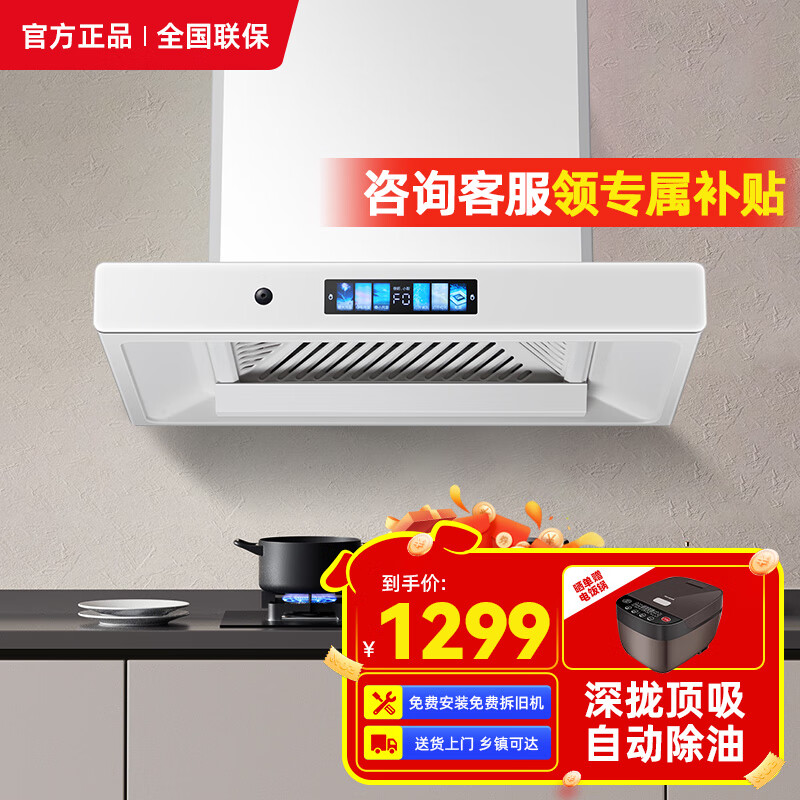 樱花雪油烟机欧式顶吸小户型 600长700mm银色抽吸油烟机小尺寸38立方